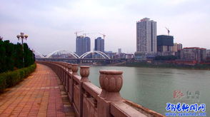 邵陽全市動員 衛(wèi)冕 省衛(wèi) 備戰(zhàn) 國衛(wèi)