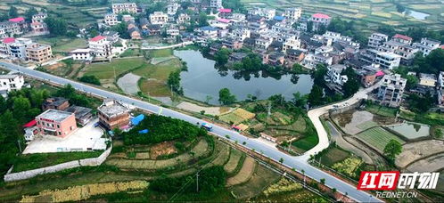 湘潭大學駐村幫扶工作隊助力邵陽縣石蓮村發展