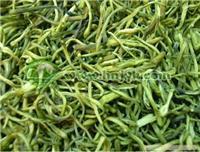 湖南邵陽(yáng)/吉首金銀花種植_湖南邵陽(yáng)/吉首金銀花種植高清大圖_湖南邵陽(yáng)/吉首金銀花種植高清圖片_一比多產(chǎn)品庫(kù)